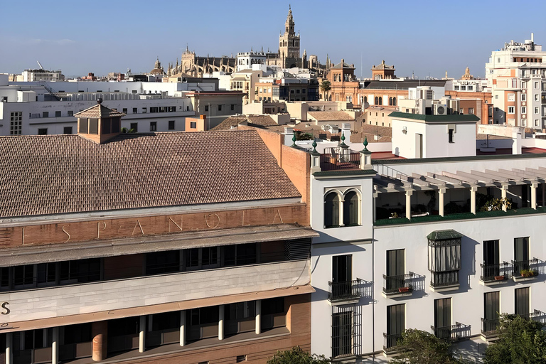 Siviglia: terrazza panoramica con vista mozzafiatoSiviglia: terrazza sul tetto con vista panoramica
