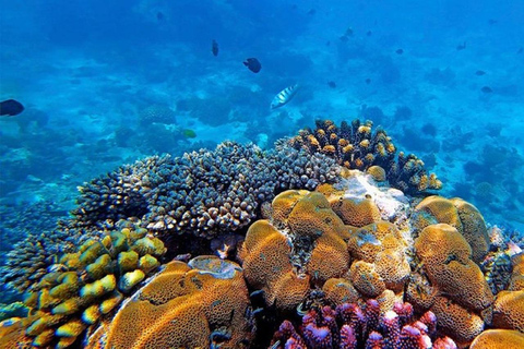 Vanuit Zanzibar Mnemba Eiland-Snorkelen Dagtour met Lunch