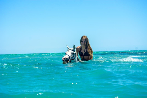 الغردقة: جولة ركوب الخيل في الصحراء والبحر مع خيار السباحةجولة لمدة ساعتين لركوب الخيل بدون السباح