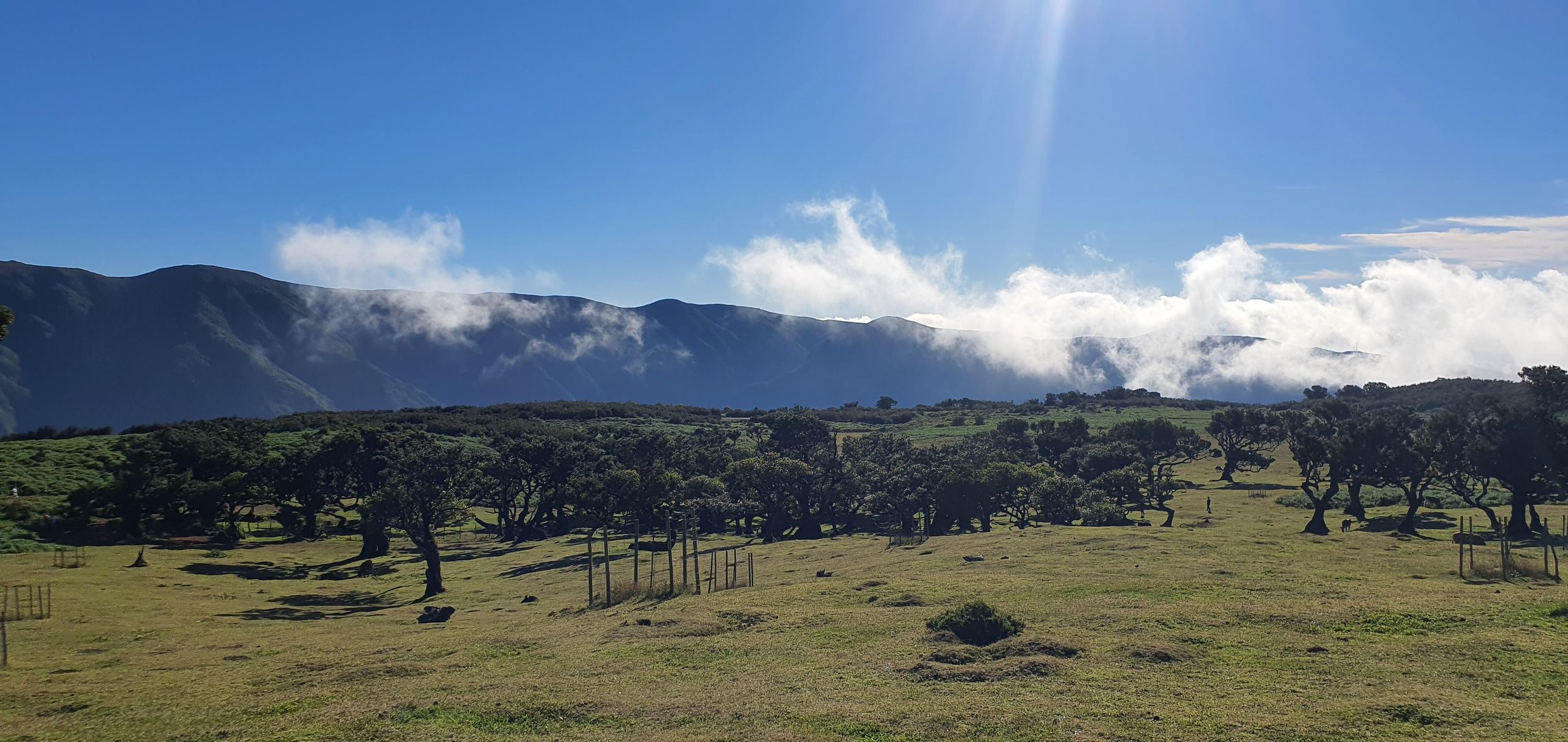 Madeira: Wo das Meer auf den Himmel trifft: Tour durch den Westen