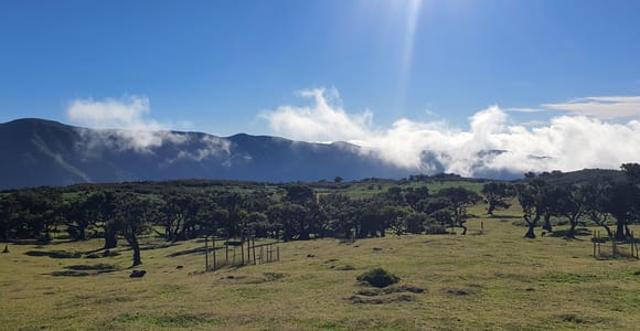 Madeira: Where the Sea Meets the Sky: Tour of the West
