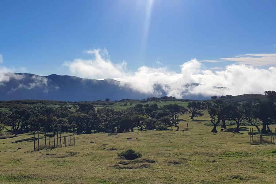 Madeira: Wo das Meer auf den Himmel trifft: Tour durch den Westen. Foto: GetYourGuide Madeira: Wo das Meer auf den Himmel trifft: Tour durch den Westen. Foto: GetYourGuide