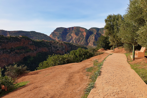 From Marrakech: Full-Day Tour to Ouzoud Falls with Boat TripShared Tour