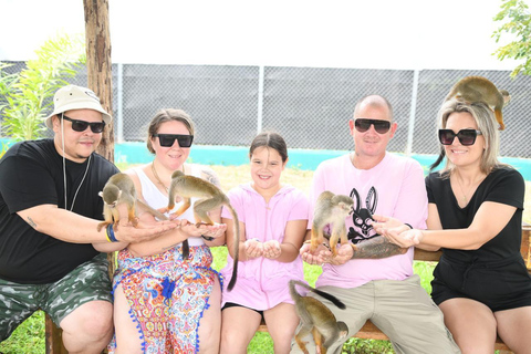 Puerto Plata: Damajagua Waterfalls & Monkeyland Tour