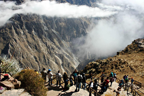 From Puno: Colca Valley Tour 2D with Transfer to Arequipa