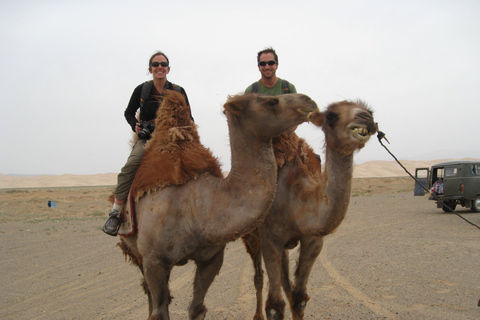 Agadir: kameelrit op de Flamingo-rivierAgadir: Flamingo rivier kamelenrit