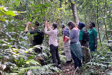 Excursion d&#039;une journée au lac Bunyonyi et dans la forêt de Kalinzu pour un trekking avec les chimpanzés