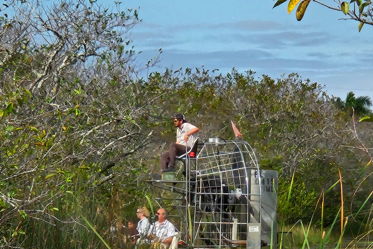 Everglades: tour en barco con transporte y entrada incluidos