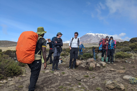 Onvergetelijke Trek Kilimanjaro - 1 Dag Rongai Route