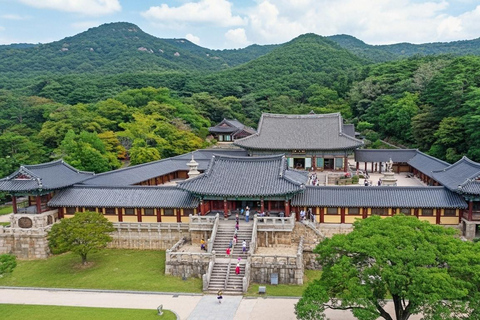 Busan: tour de un día a Gyeongju en grupo pequeño con recogida en el hotelBusan: Gyeongju Full-Day Small-Group Tour with Hotel Pickup