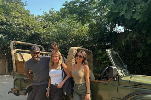 From Delhi: 5-Day Golden Triangle & Tiger Safari Journey Transportation and guide service only