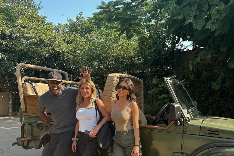 From Delhi: 5-Day Golden Triangle & Tiger Safari Journey Transportation and guide service only