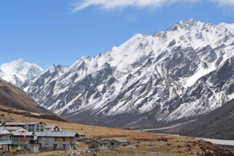 Short & Stunning: 5-Day Langtang Valley Trek from Pokhara