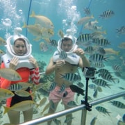 Cham Island: Underwater Walking & Snorkeling Tour Cham Island: Underwater Walking & Snorkeling Tour