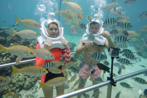 Cham Island: Underwater Walking & Snorkeling Tour - Image 3