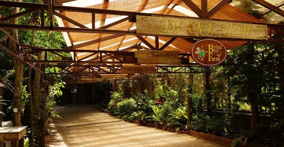 Panglao Island: Half-Day Guided Tour with Hotel Pickup