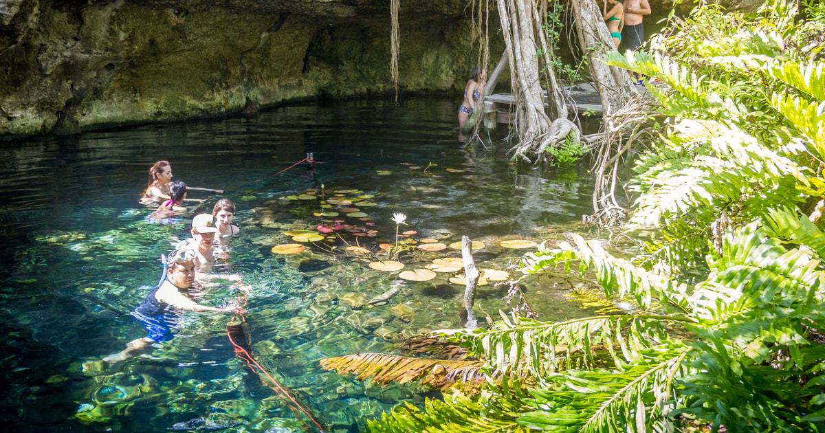 Xtun Cenote Unterirdische H Hlen Tour Offenes Cenotenschwimmen Getyourguide