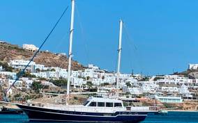 Mykonos: Delos and Rhenia Islands Cruise with BBQ Meal