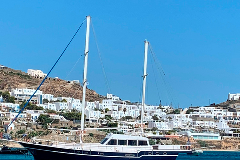 Mykonos: Delos and Rhenia Islands Cruise with BBQ Meal Cruise with Delos Guided Tour