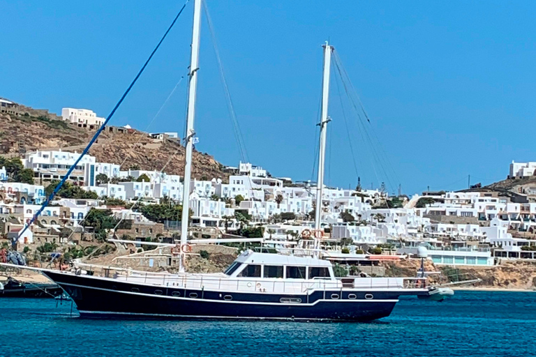 Mykonos: crucero por las islas Delos y Rhenia con comida de barbacoaCrucero sin traslado