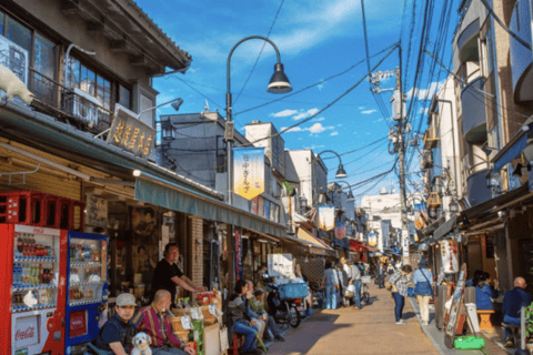 Tokyo: Old Tokyo Walk with Yanaka Retro Street & Nezu Shrine
