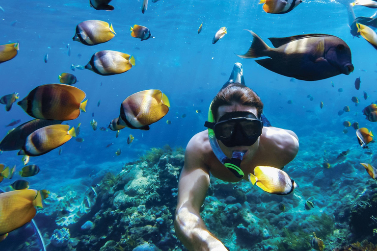 Sosúa: Catamaran Cruise with Snorkeling, Lunch, &amp; Drinks