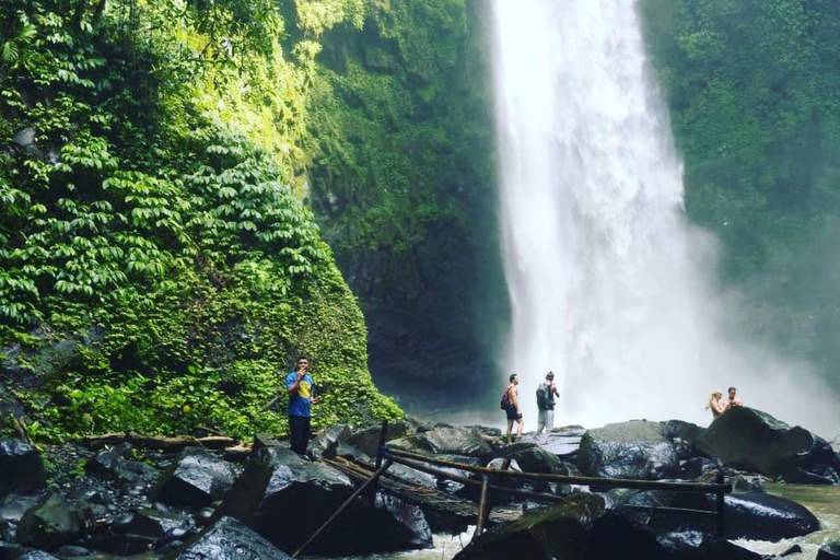 Ontluikende ervaring Ubud, Penglipuran dorp en watervalOntdekkingsreis Ubud voor kleine groep