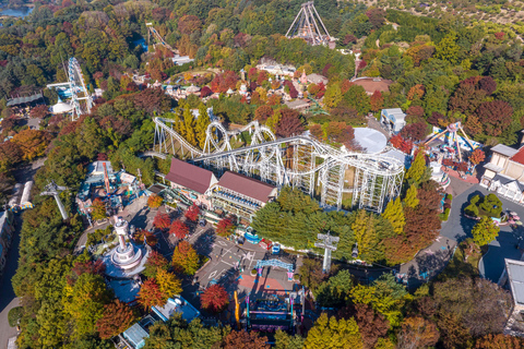 Billet d&#039;entrée au parc d&#039;attractions Everland