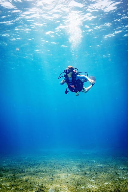 Cozumel: 2 tanks certified scuba diving | GetYourGuide