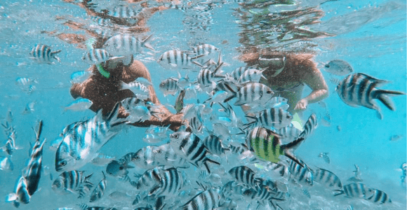 Blue Bay: Blue Bay Glass Bottom Boat Visit and Snorkeling