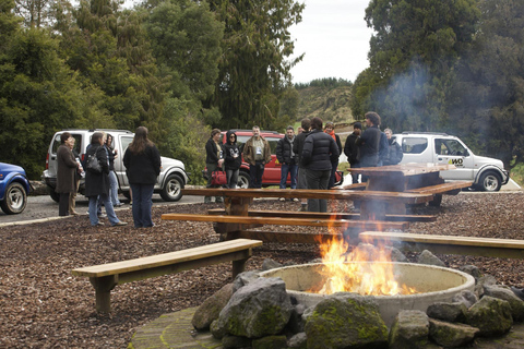 Rotorua: Ultimate Self Drive 4WD Bush Safari