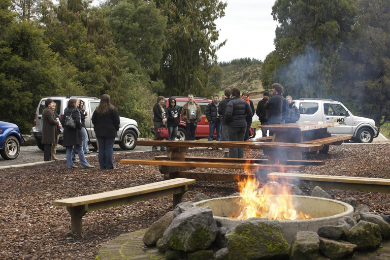 Rotorua: Ultimate Self Drive 4WD Bush Safari