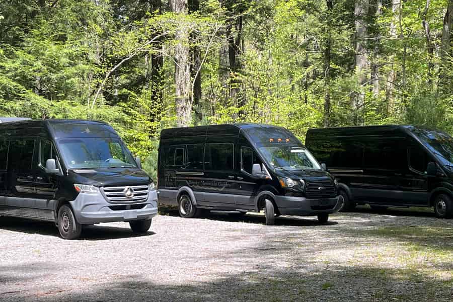 Gatlinburg: Über den Smoky Mountains mit Elchbeobachtung. Foto: GetYourGuide