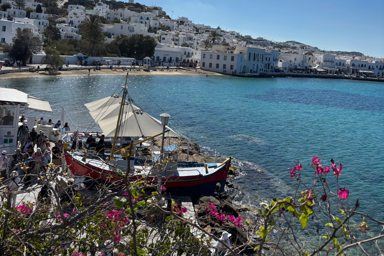Mykonos: Walking Tour of Town Highlights and Hidden Gems