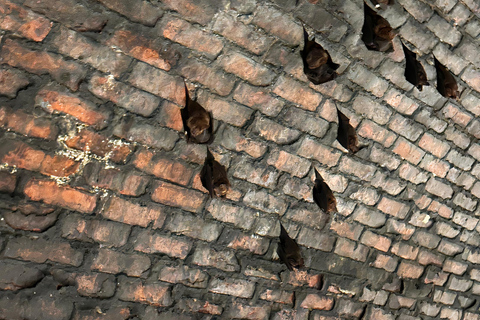 From Taipei: Private Sandiaoling & Makang Day Trip