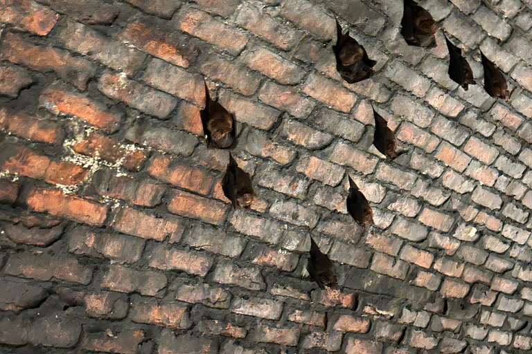 From Taipei: Private Sandiaoling & Makang Day Trip