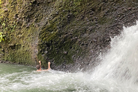 特特巴图：瀑布、香料、梯田、猴子森林特特巴图之旅、香料、瀑布、梯田、猴林