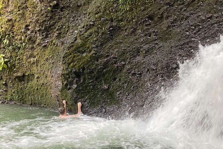 特特巴图：瀑布、香料、梯田、猴子森林特特巴图之旅、香料、瀑布、梯田、猴林