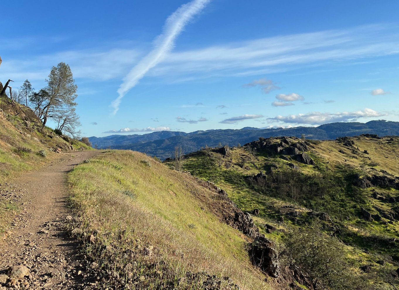 Napa/Sonoma: Guidet tur for cykelentusiaster