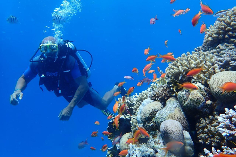Hurghada: Beginner Diving Trip with Lunch, Transfer & Gear Boat Cruise with 2 Snorkeling Sites with Lunch & Transfer