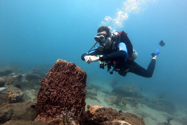 Tayrona National Park: Beginner Diving with Expert Tour Guides Tayrona National Park: Beginner Diving With Expert Tour Guides