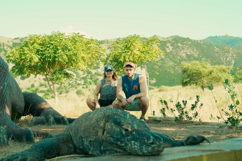 From Senggigi: 4-Day Whale Shark & Komodo Adventure