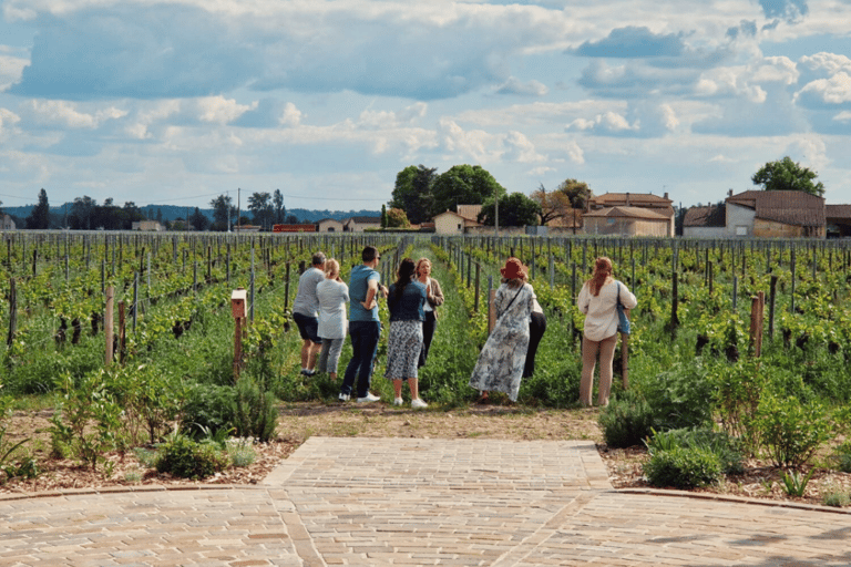 Bordeaux Full Day Wine Tour - 3 Wineries & Picnic Lunch Bordeaux: Saint-Emilion Winery Tour with Tastings & Lunch