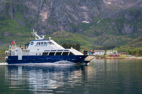From Svolvær: Lofoten Trollfjord Cruise & Sea Eagle Safari Lofoten: Trollfjord Cruise with Sea Eagle Safari