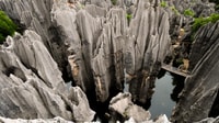 Kunming, private Halbtagestour durch den Steinwaldpark w/Option - Hizvo