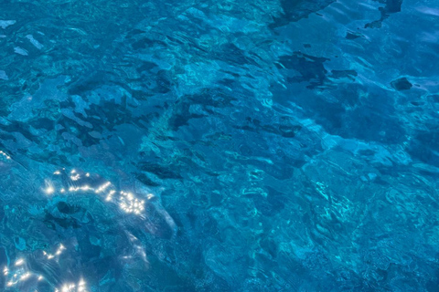 Marettimo: tour of the wonders of the wildest island in the Egadi archipelago Marettimo: tour among the wonders of the wildest island of the Egadi Islands