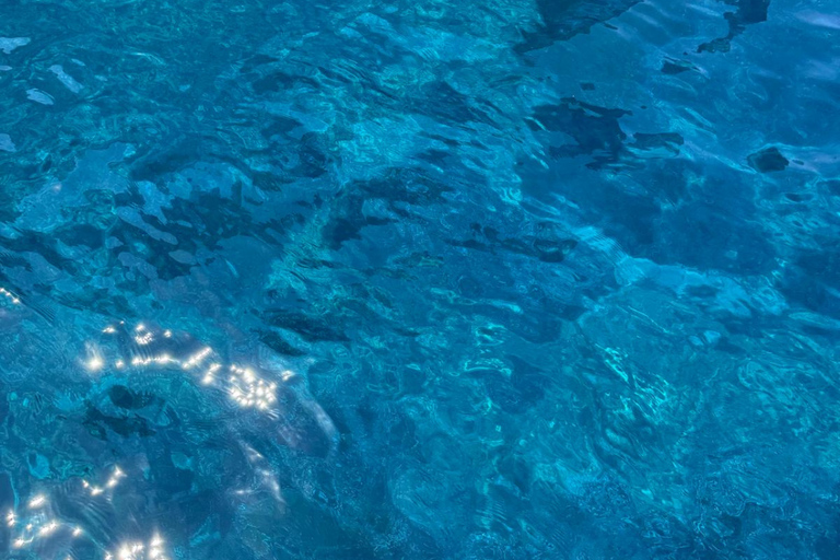 Marettimo: tour of the wonders of the wildest island in the Egadi archipelago Marettimo: tour among the wonders of the wildest island of the Egadi Islands