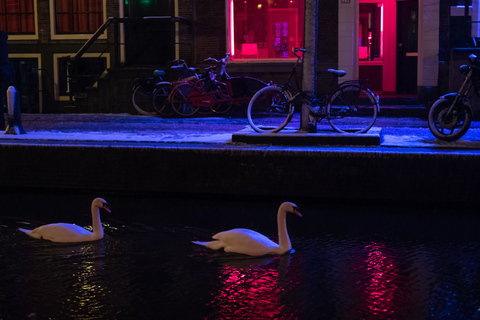 Amsterdam: Red Light District and Coffeeshop Culture TourNon-Private Group Tour