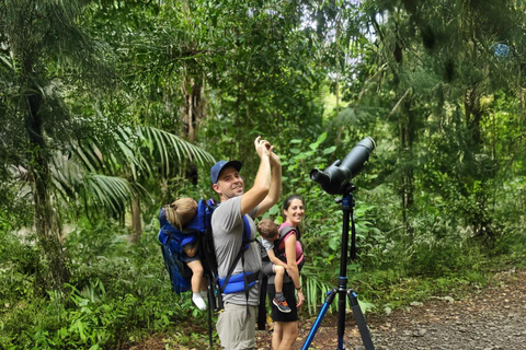Panama: Tour dell'habitat della giungla delle scimmie e dei bradipi a Panama