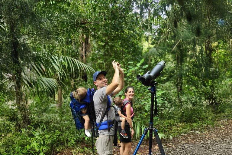 Panama: Tour dell'habitat della giungla delle scimmie e dei bradipi a Panama